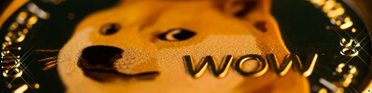 Altcoin Başarısında Geliştirici Ekiplerin Rolü