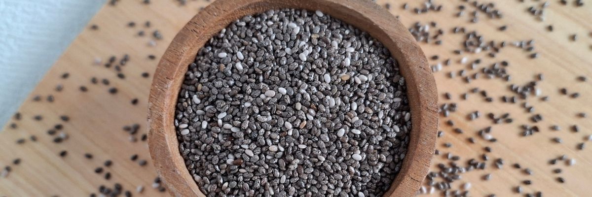 Seed Güvenliği 10 Kural